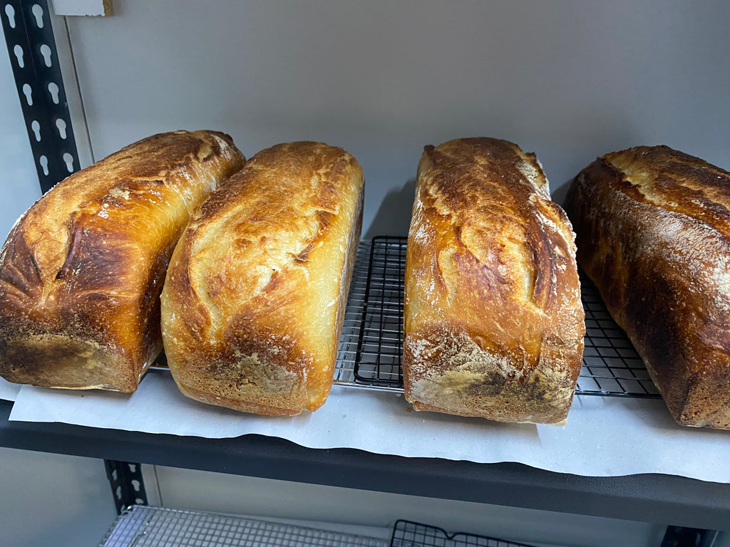 Sourdough Sandwich Style Loaf